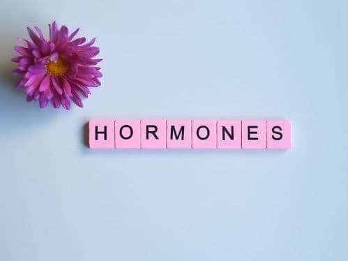 The Role of Hormones in the Human Body